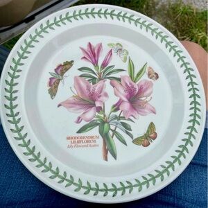 Portmeirion Botanic Garden Rhidodendrum Lily Flowered Azalea Dinner Plate